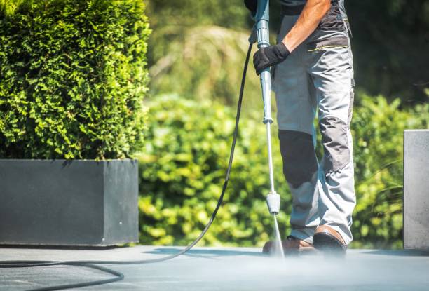 Best Driveway Pressure Washing  in Greendale, WI