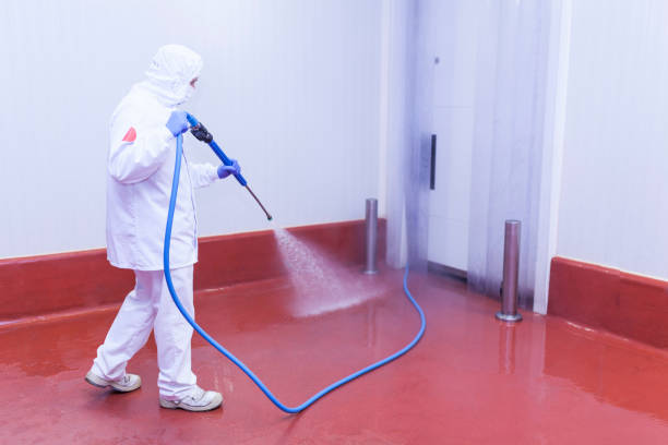 Best Graffiti Removal  in Greendale, WI